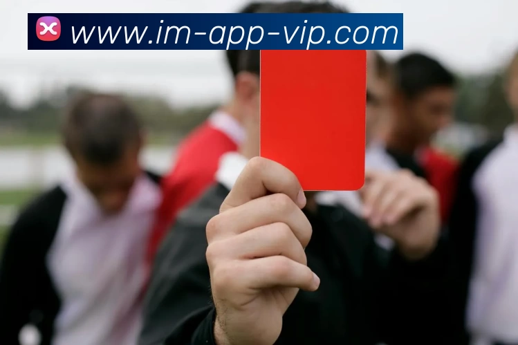 IM体育品牌故事