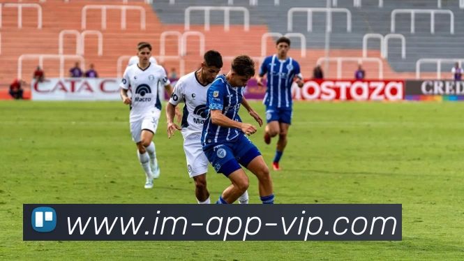 IM体育服务体系